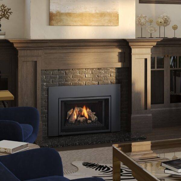 Regency Gi25 gas insert