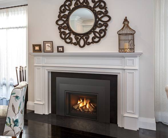 Regency Atmosphere Gi29 gas insert