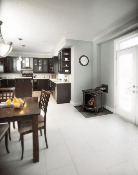 Napoleon Bayfield Direct Vent Gas Stove Series