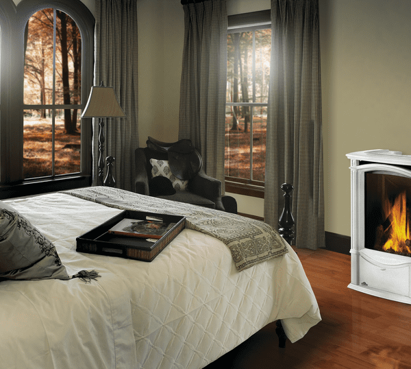 Napoleon Castlemore Direct Vent Gas Stove Series