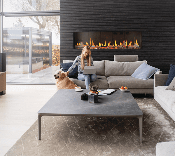 Napoleon Luminex Electric Fireplace