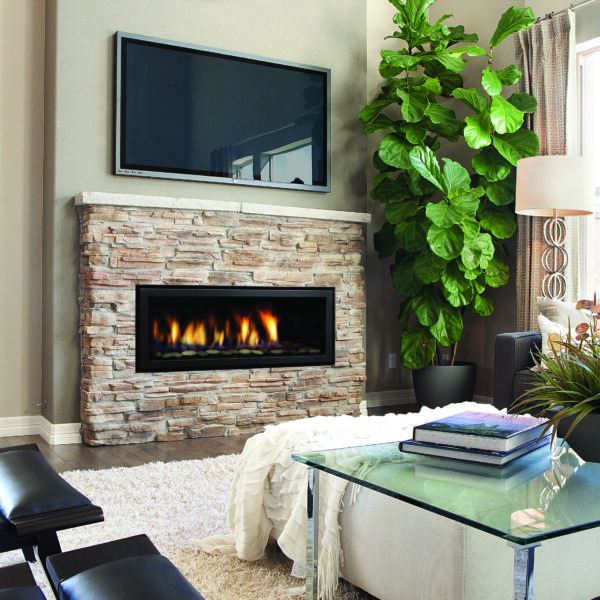 Regency® Horizon® HZ40E Gas Fireplace