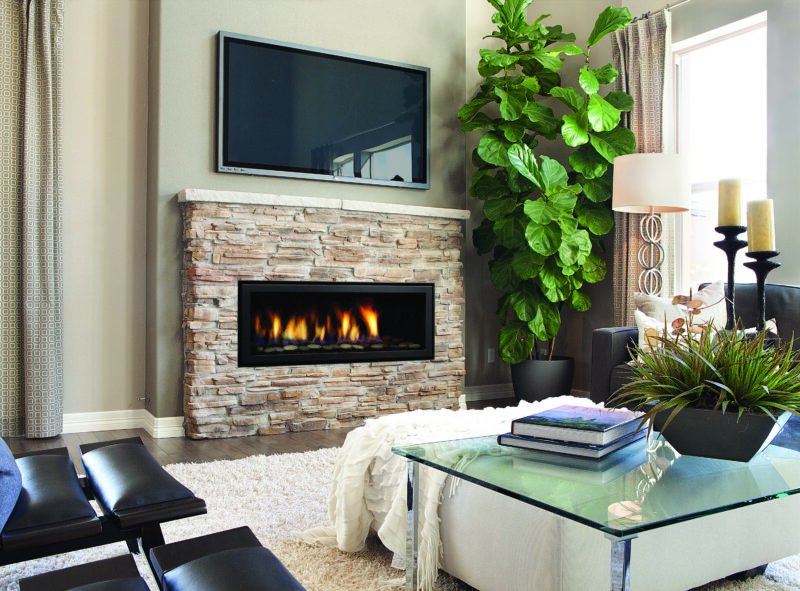 Regency® Horizon® HZ40E Gas Fireplace