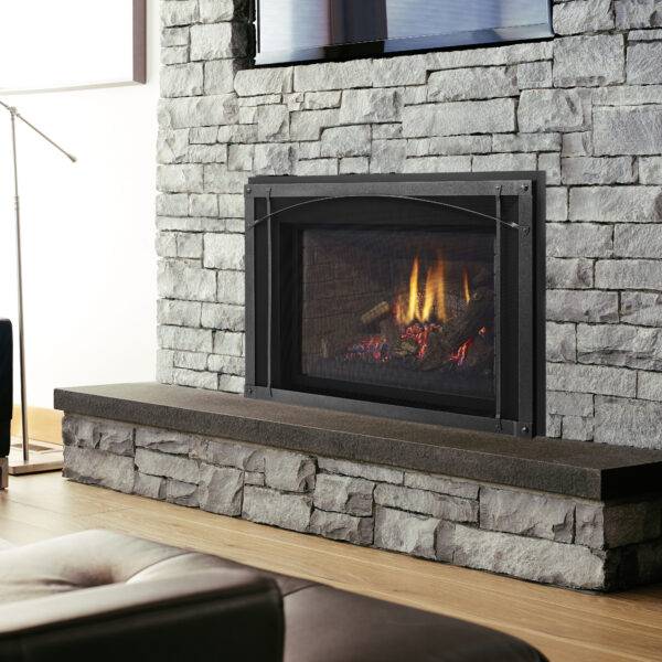 Regency® Liberty® LRI6E Gas Insert