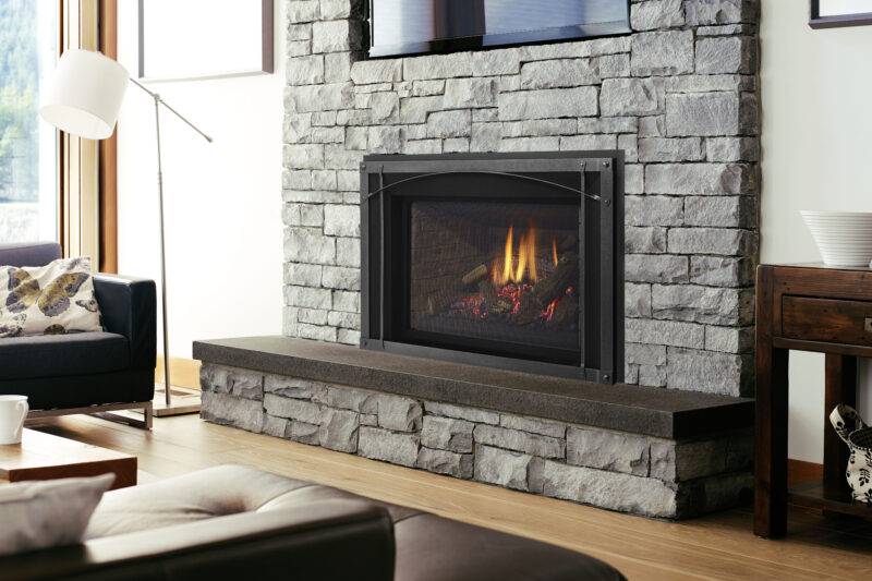 Regency® Liberty® LRI6E Gas Insert